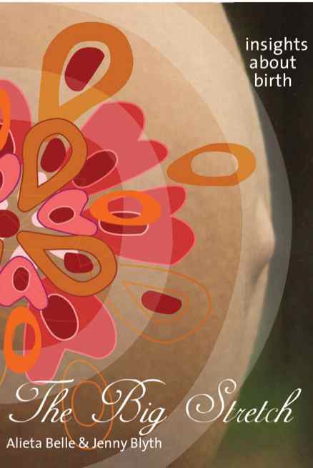 Jacket front of The Big Stretch